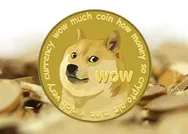 Dogecoin ile 1 milyar TLlik vurgunda yeni gelişme: Thodexten çok daha büyük