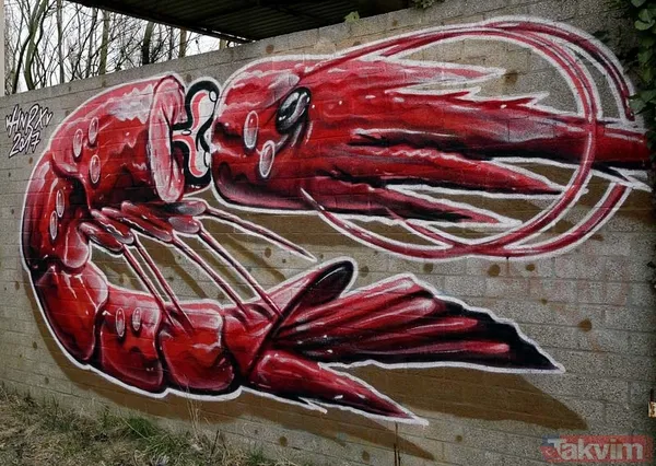 Hayalet kasaba turizm cenneti olma yolunda - 25