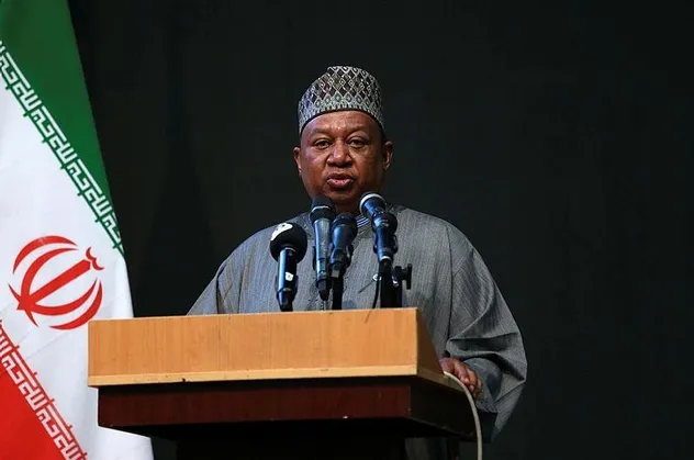 OPEC: İran'ın petrol piyasasından silinmesi mümkün değil