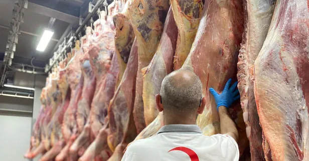 Kurban vekaletinde 4 taksit dönemi! Kızılay 2026 fiyatlarını duyurdu