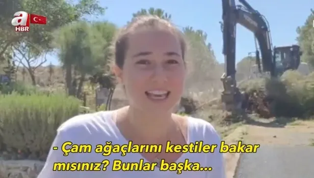 CHP'li belediyeden İzmir Karaburun'da çevre katliamı! Genç kız çam ağaçlarının iş makineleriyle sökülmesini gözyaşları içinde izledi