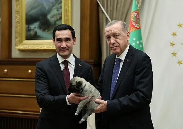 baskan-erdogan-turkmenistan-devlet-baskani-berdimuhammedova-kangal-cinsi-kopek-hediye-etti-1698336744101.jpeg Başkan Erdoğan Türkmenistan Devlet Başkanı Berdimuhammedov'a Kangal cinsi köpek hediye etti-4