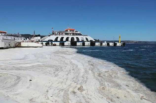 Marmara'daki tehlike müsilajı dalış yaparak gözlemleyen dalgıçtan kan donduran açıklama: Sanki bomba atılmış gibi!