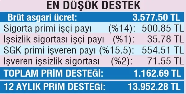 Devletten istihdama dev destek: 500.000 TL destek verilecek - 10