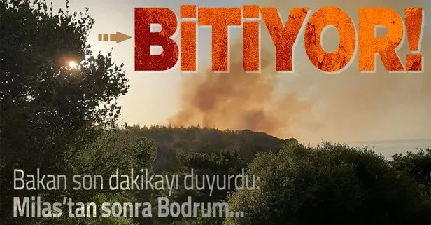 Tarım ve Orman Bakanı Bekir Pakdemirli son durumu açıkladı: Bodrum yangını kontrol altında