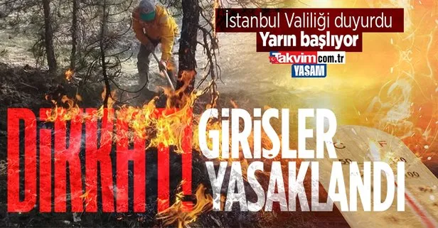 İstanbul’da orman yangınlarına karşı flaş önlem! O bölgelere giriş yasaklandı... Piknik serbest mi?