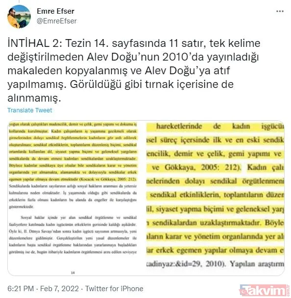CHP'li İBB Başkanı Ekrem İmamoğlu'nun eşi Dilek İmamoğlu'nun tezinde sayfalarca intihal çıktı - 6