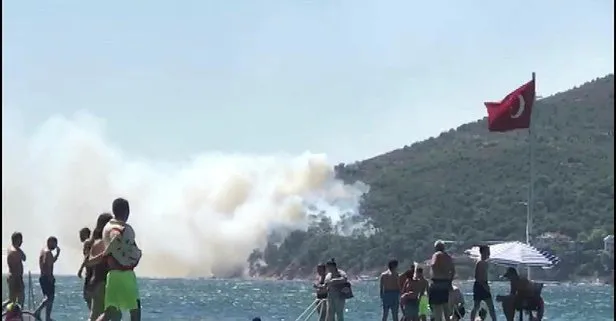 Son dakika haberi: Burgazada ve Marmara Adası’nda orman yangını