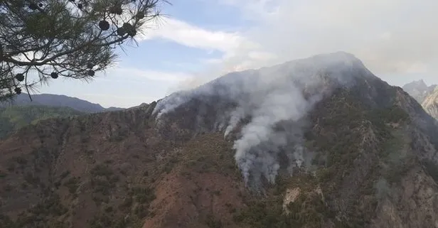 Kahramanmaraş’taki yangının sebebi: Yıldırım