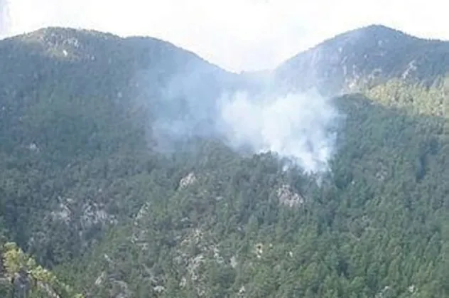 Son dakika: Muğla'da orman yangını: 5 dekar ormanlık alan zarar gördü