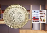 1 haftada etkisi inanılmaz! Buzdolabına 1 TL bozuk para koyan sonuca inanamıyor