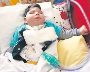 Taha iki yaşında ama yükü ağır!