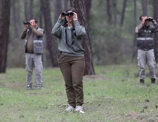 Antalya’da panik! Hayvanat bahçesinden kaçan kurt...