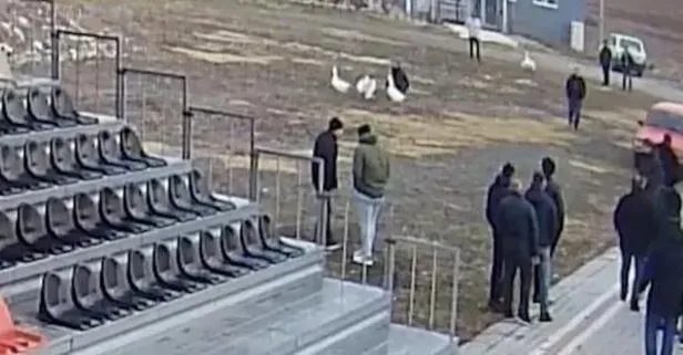 Çorum’da kaz baskını!