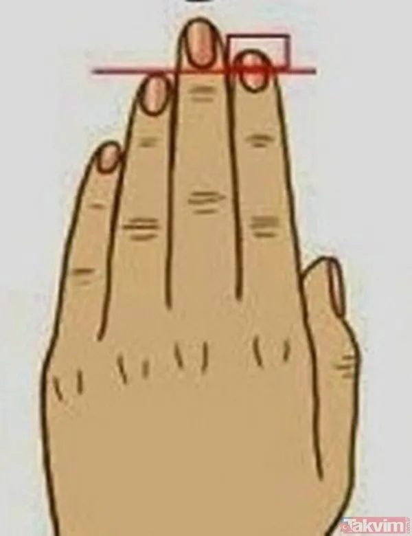 Yüzük Parmağı İşaret Parmağından Kısa Olan İnsanların En Belirgin Özelliği Özgüvenlerinin Yüksek Olmalarıdır. İşleri Tek Başına Halletmeyi Severler. Başarıyı...