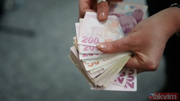 600 bin TL'nin 1 aylık faiz getirisi ne kadar? Ziraat, Denizbank, Yapı Kredi, Halkbank mevduat oranları - 2