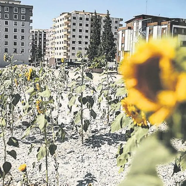 Gözlerimiz yeşerdi