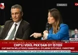 CHP'li vekil Aysu Bankoğlu HDPKK'dan oy istedi