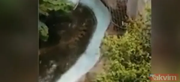 Timsahla ölümcül selfie! Fotoğraf çekmek için suya girdiği anda talihsiz adam... - 10