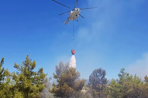 Hatay Amanos Dağları'nda yangın