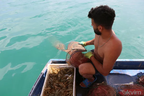 Ayda 100 bin lira kazanıyor! İşletme bitirip köyüne döndü kerevit avlayıp satıyor - 13