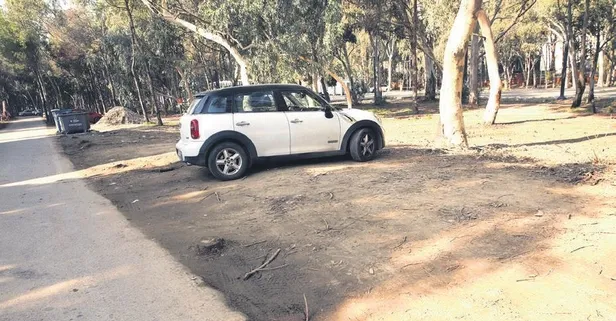 CHP'li Muhittin Böcek'ten ağaç katliamı