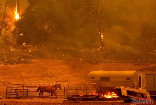 ABD'de büyük yangın | Haftalardır söndürülemiyor! OHAL ilan edildi