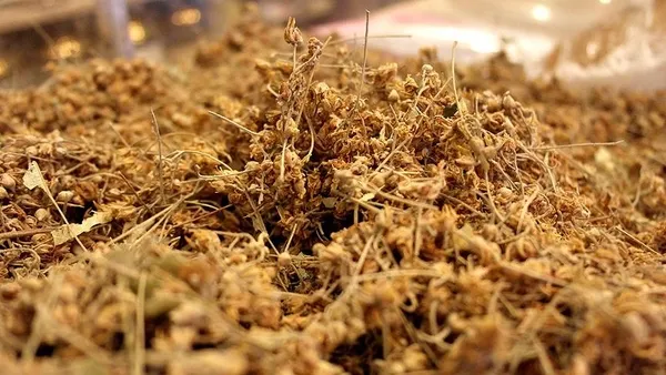 fiyati-altinla-yarisiyor-gramla-satin-aliniyor-1603703178160.jpg Fiyatı altınla yarışıyor! Gramla satın alınıyor-2