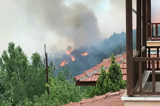 Hatay'da orman yangını