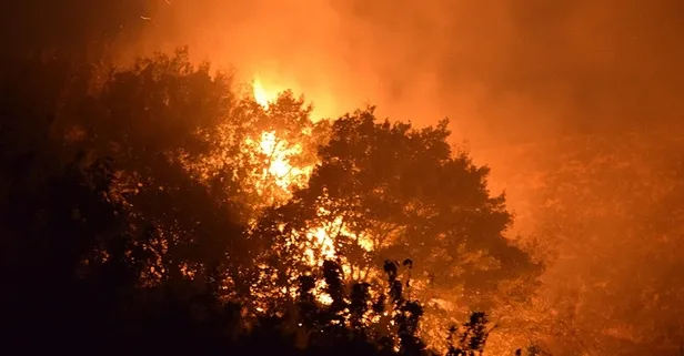 Ülke çapında orman yangınlarıyla mücadele sürüyor