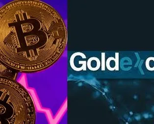 Goldexco.in battı mı? GLDX Token alım satımı durdu mu?