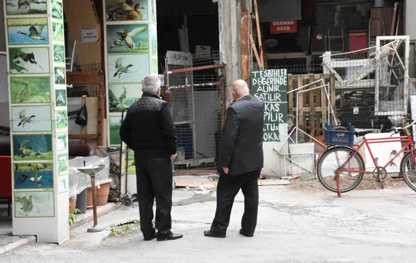 sivasta-is-haninin-icindeki-kullanilmayan-dukkani-fareler-basti-esnaf-isyan-etti-1652091811329.jpg Sivas'ta iş hanının içindeki kullanılmayan dükkanı fareler bastı! Esnaf isyan etti-8