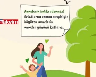 Annemin Ağacı kampanyası nedir? OGM Fidan bağış linki!