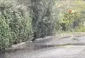 İstanbul’da kar yağışı başladı