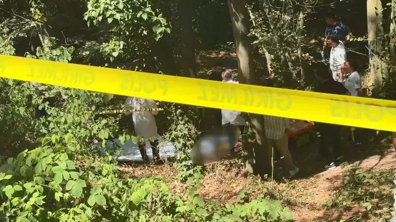 Sarıyer'de ormanlık alanda başına poşet geçirilmiş ceset (DHA)