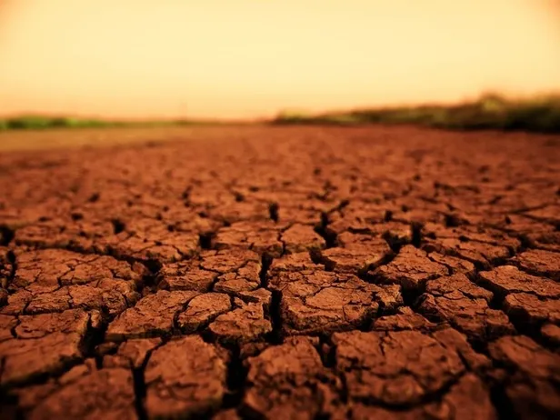 Kızıl Gezegen için büyük tehlike: NASA mikropları Mars'a taşıdı-2