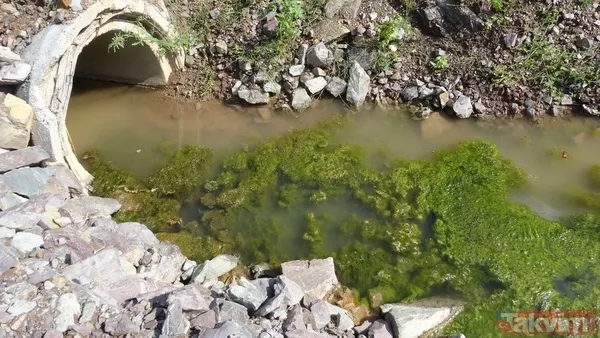 İSKİ'nin son skandalı! Kanalizasyon suları Ömerli Barajı'na akıyor - 7