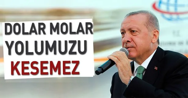 Dolar molar yolumuzu kesemez