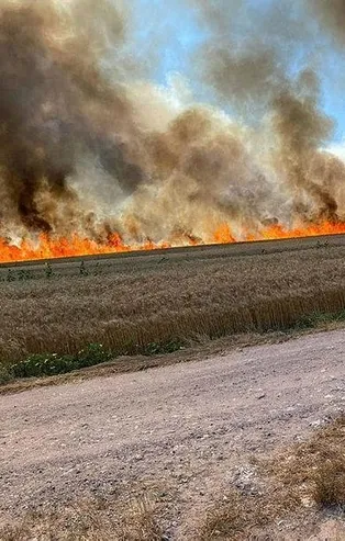 Bin dönüm buğday tarlası daha kül oldu!