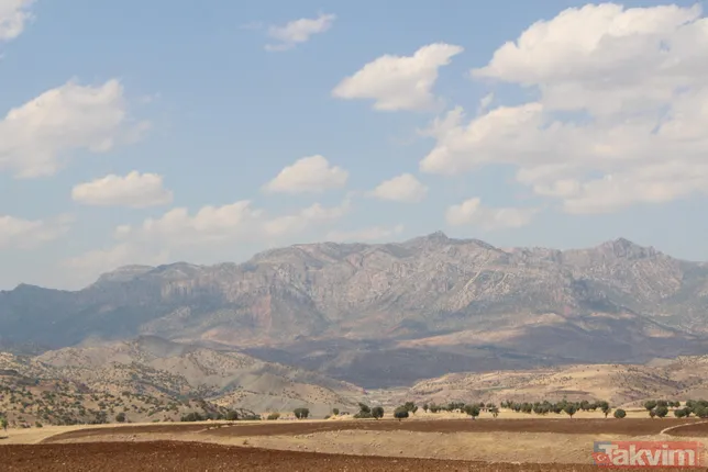 Bir dönem PKK'nın yuvalandığı Gabar ve Cudi dağlarında artık terörist değil fıstık yetişiyor