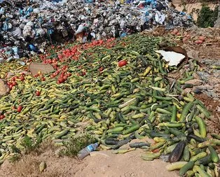 Tonlarca sebzenin çöpe dökülmesiyle ilgili açıklama