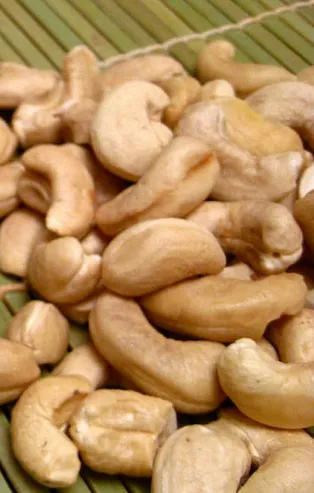 Kaju fıstığı kemik erimesini önler