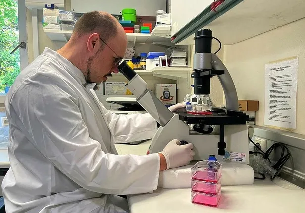 Maymun çiçeği vakası hastalığı New York'a da sıçradı: İlk vaka tespit edildi-5