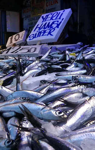 Hamsi bolluğu hem balıkçının hem de vatandaşın yüzünü güldürdü