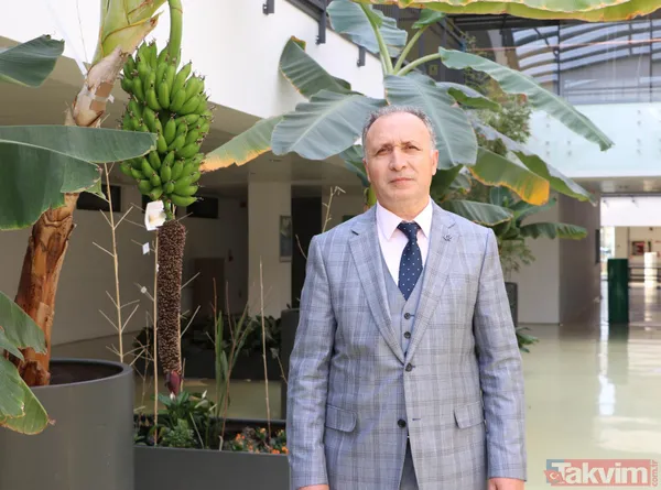 Ankara'da lise öğrencileri karasal iklimde muz avokado incir limon zeytin ve hurma yetiştiriyor - 10