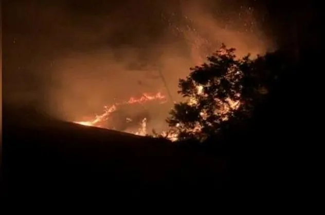 Son dakika: Sarıyer'de korkutan orman yangını