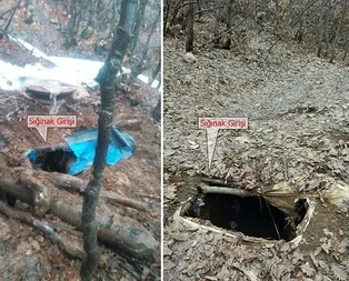 Hainlerin inlerine girildi