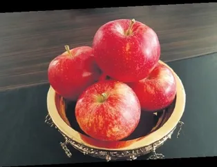 Niğde elması destekleniyor