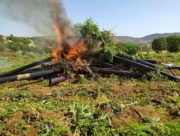 Son dakika: Diyarbakır'da uyuşturucu operasyonu: 1 ton 183 kilogram esrar ele geçirildi-2