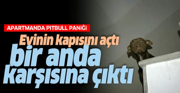 takvim gazetesi